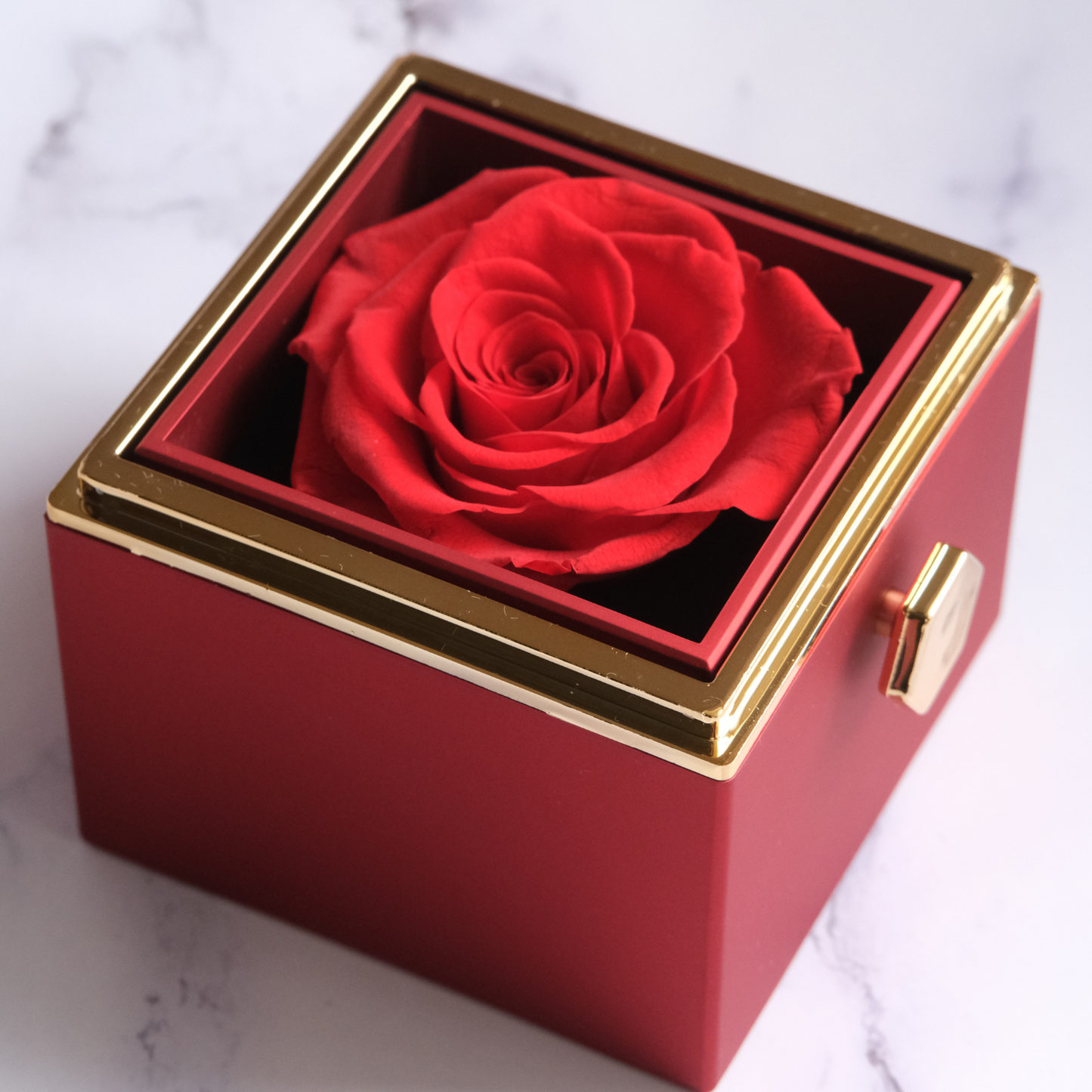 Eeuwige Roos Box - Liefdesknoop Halsketting