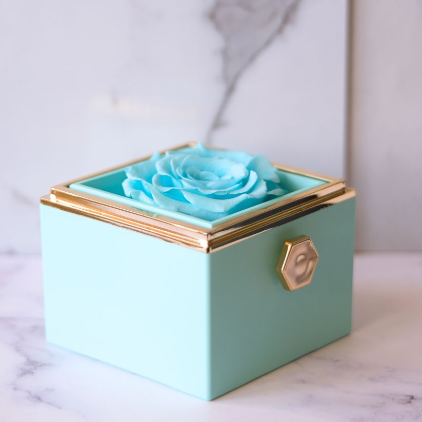 Eeuwige Roos Box - Liefdesknoop Halsketting