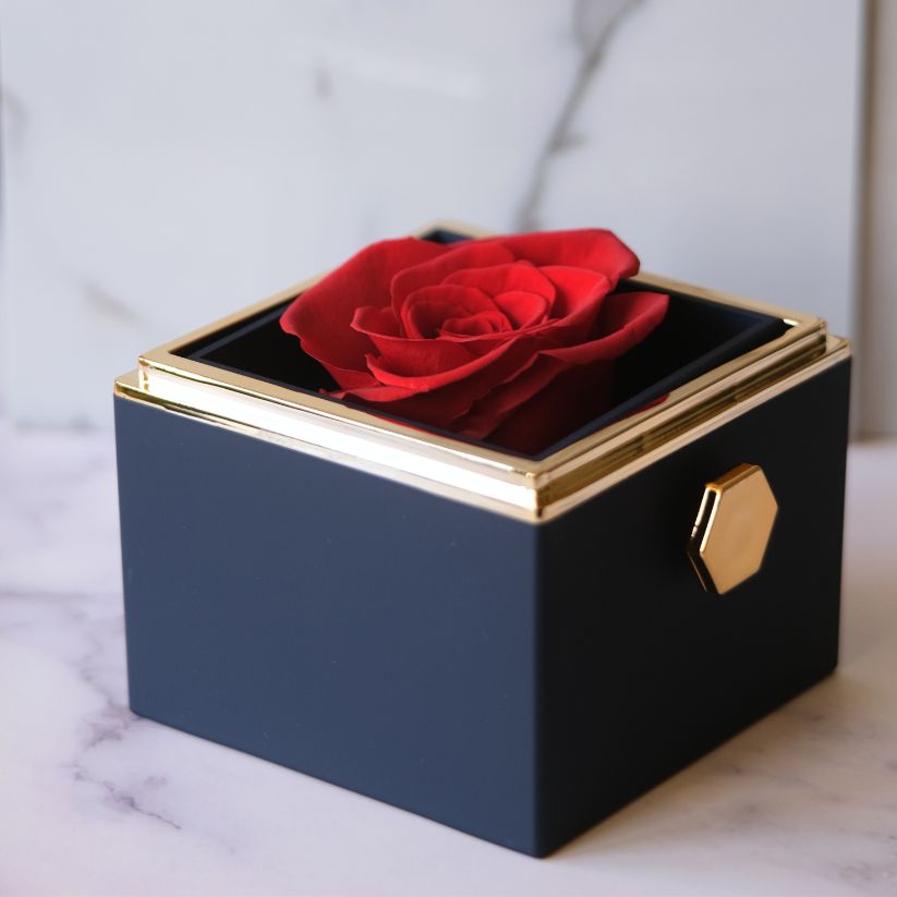 Eeuwige Roos Box - Liefdesknoop Halsketting