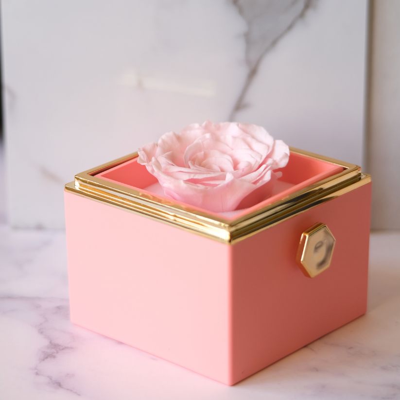 Eeuwige Roos Box - Liefdesknoop Halsketting