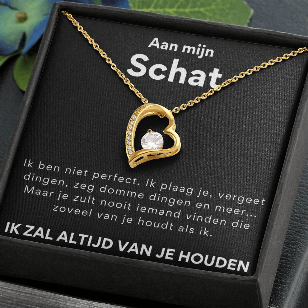 hart-ketting-14k-witgouden-afgewerkte-aan-mijn-schat-cadeau-voor