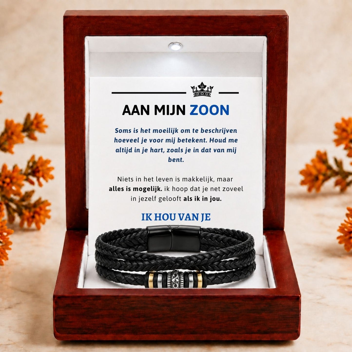 Aan mijn Zoon - Alles is mogelijk
