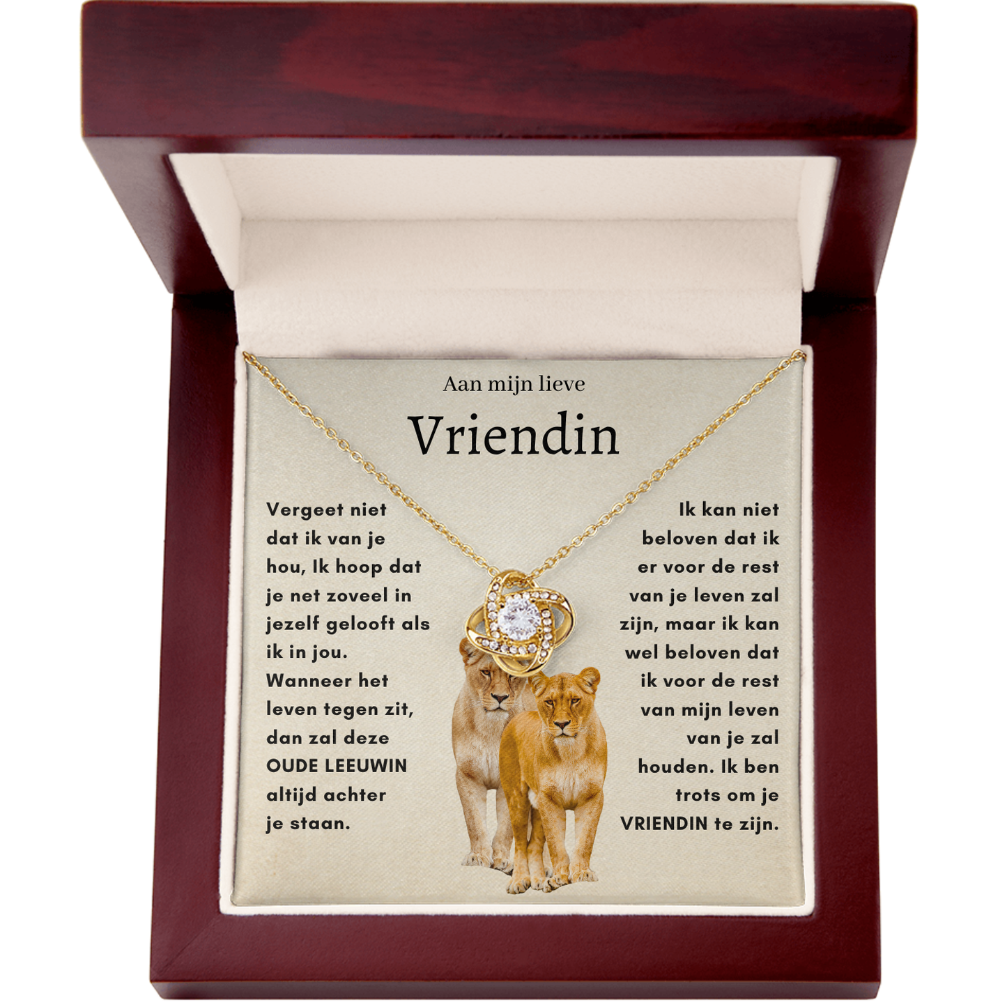 Voor mijn lieve vriendin - OUDE LEEUWIN - Liefdesknoop Halsketting