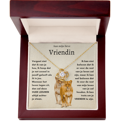 Voor mijn lieve vriendin - OUDE LEEUWIN - Liefdesknoop Halsketting