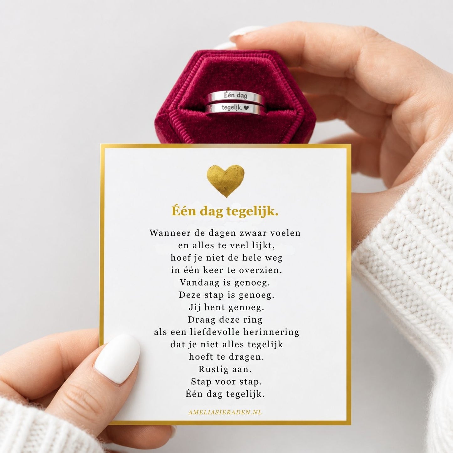 Één Dag Tegelijk Ring