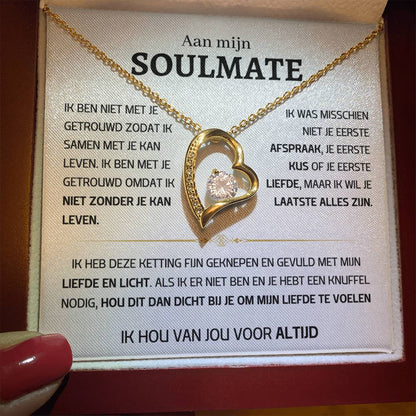 Soulmate – Hart ketting -51