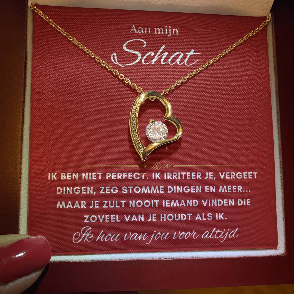 Schat- Hart ketting - 31