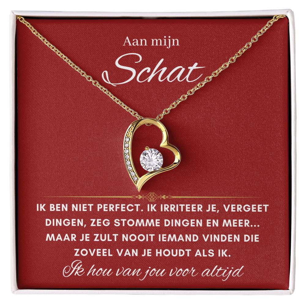 Schat- Hart ketting - 31