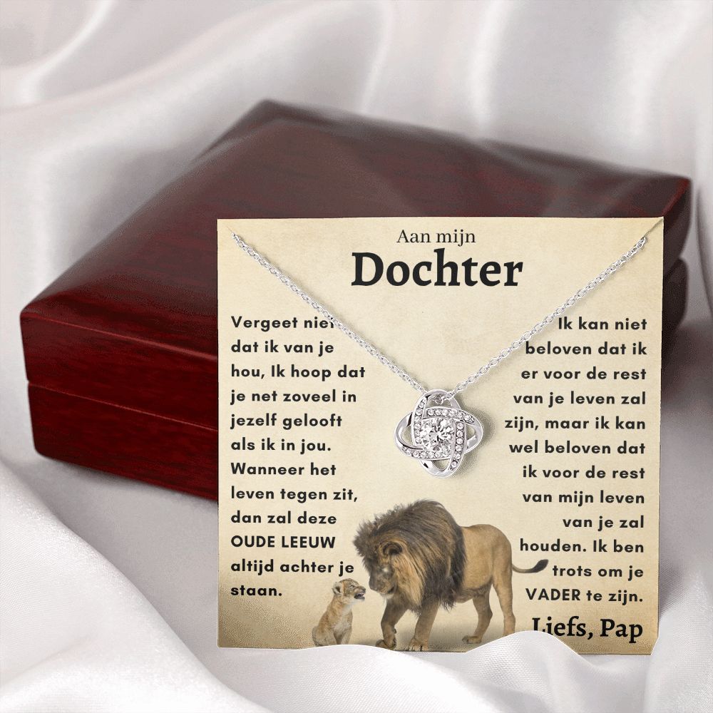 Aan Mijn Dochter - OUDE LEEUW